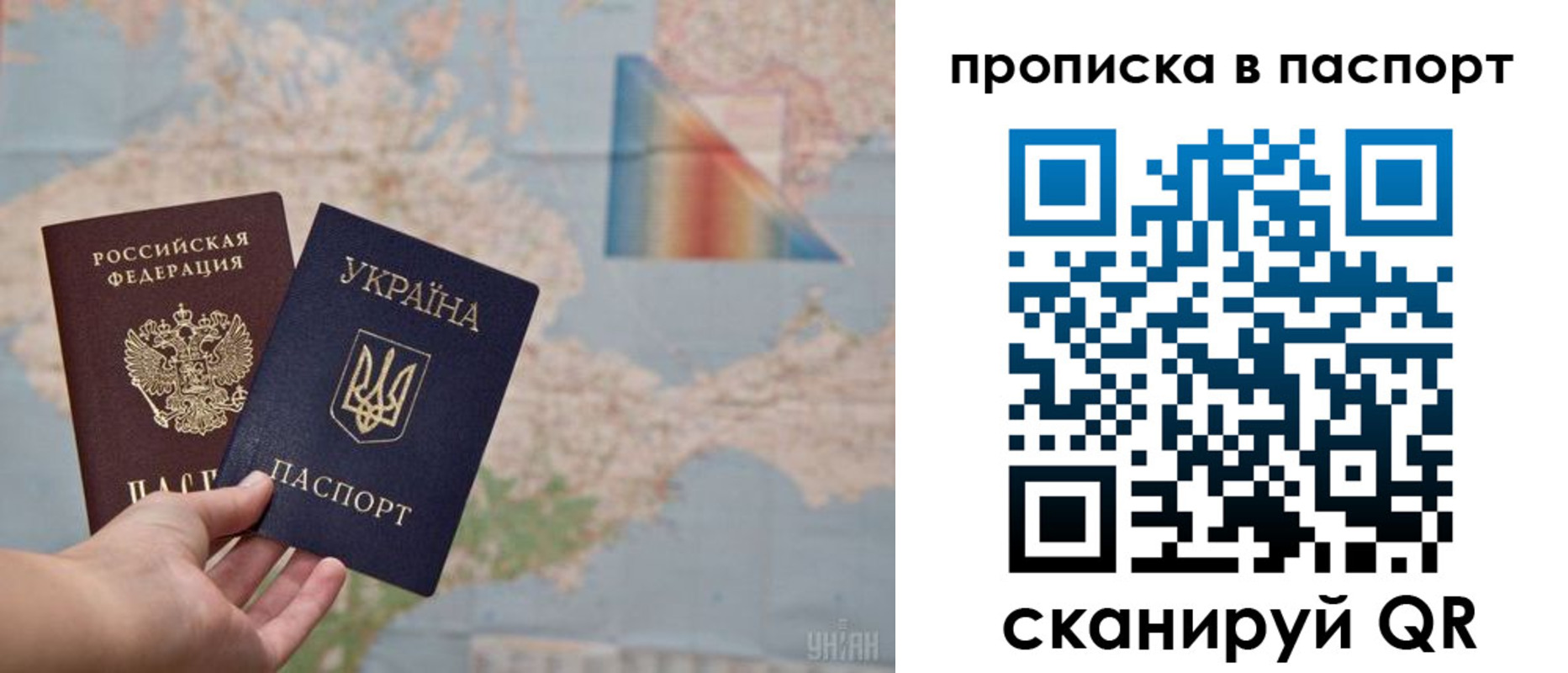 прописка поиск в Полярных Зорях